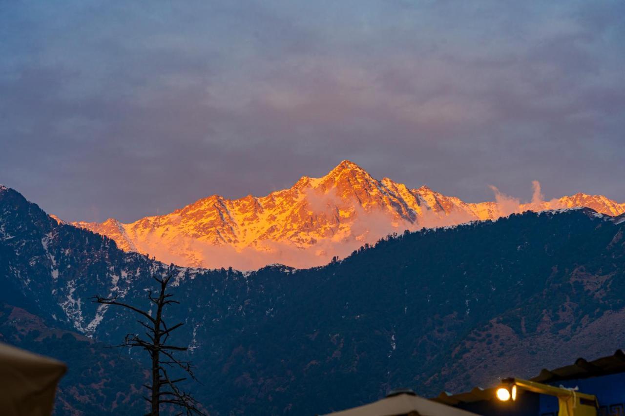 The Hosteller Mcleodganj, Mall Road McLeod Ganj Extérieur photo